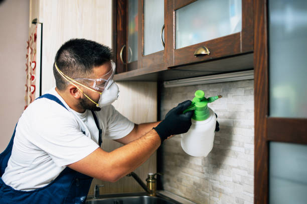 Best Pest Prevention Services  in , SD
