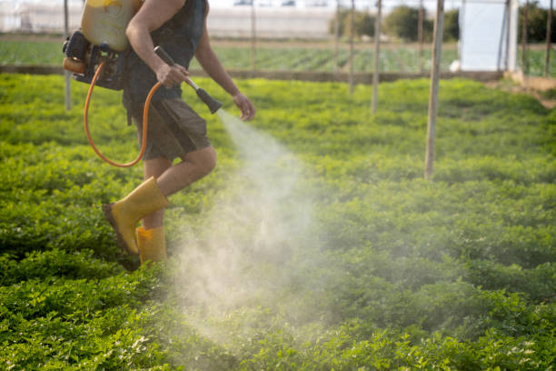 Best Best Pest Control Companies  in , SD