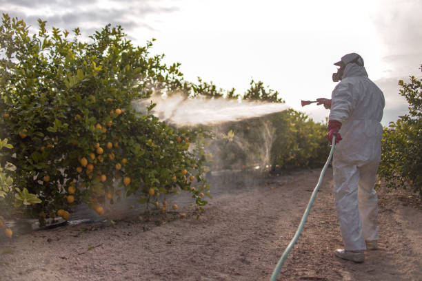 Best Best Pest Control Companies  in , SD