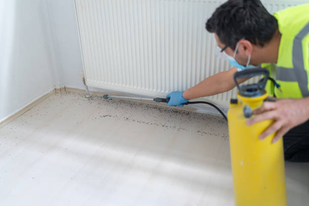 Best Affordable Pest Control Services  in , SD